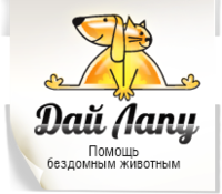 ДАЙ ЛАПУ, благотворительный фонд помощи животным